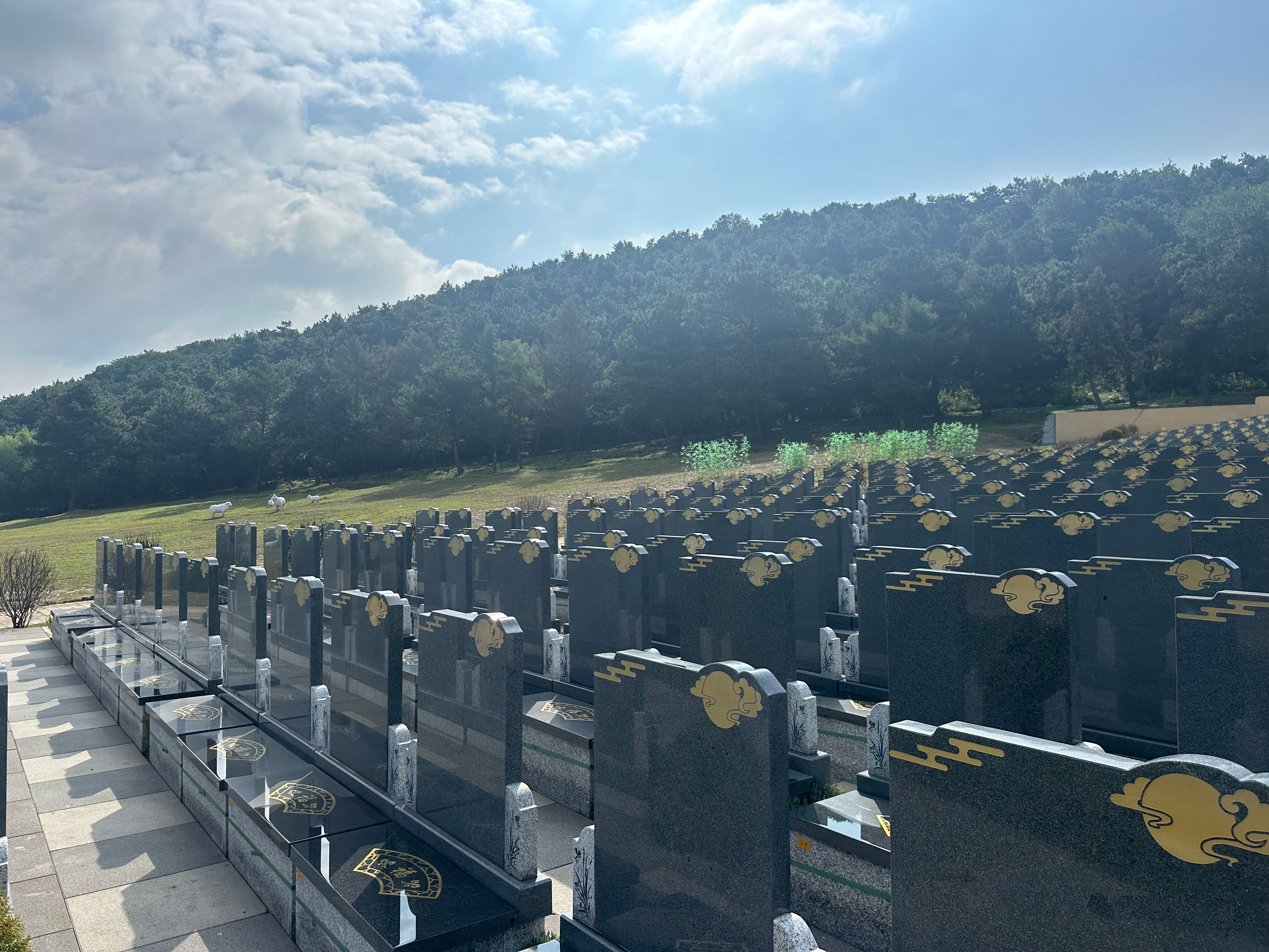 德慈塔陵公墓低价格是多少